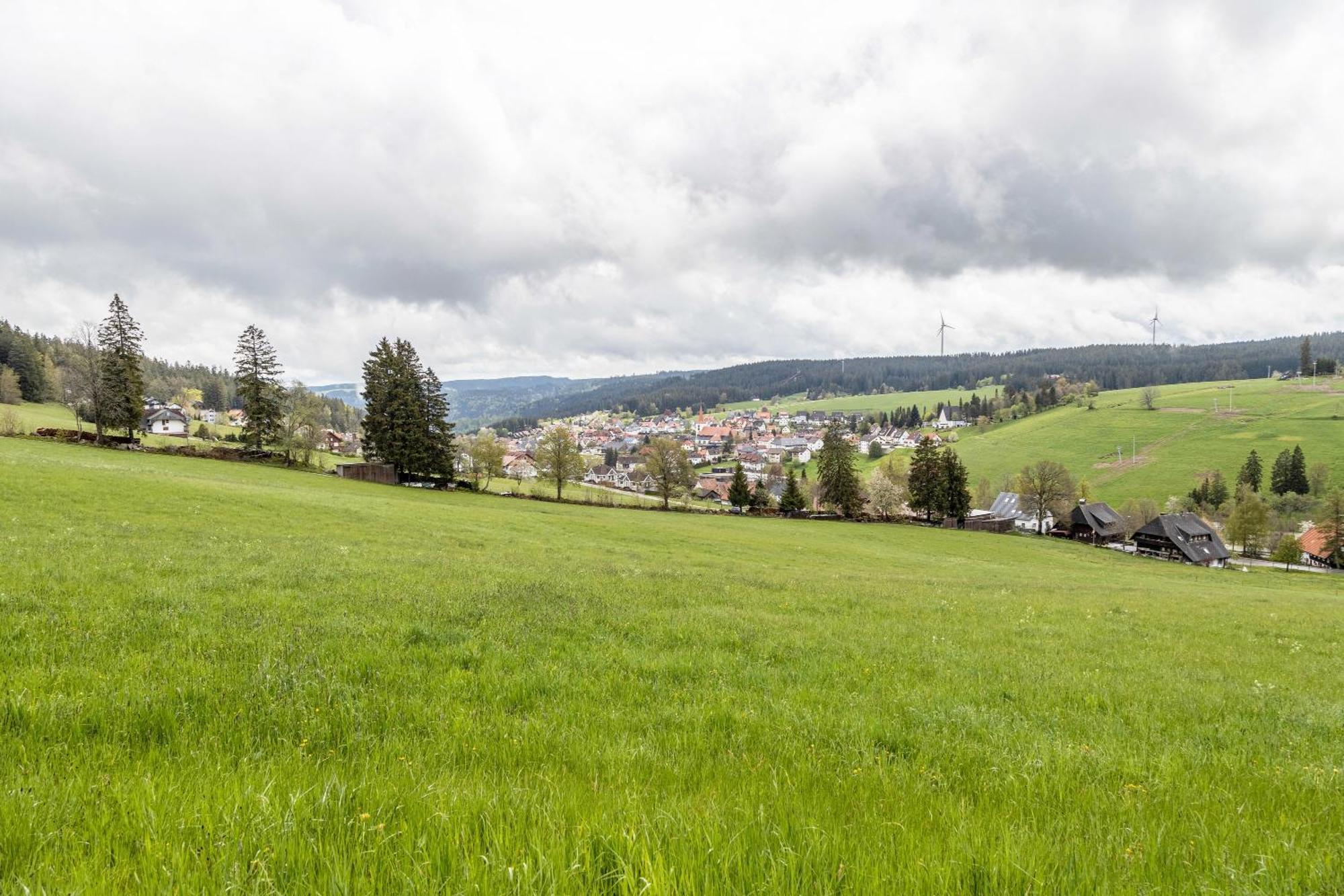 Ferienwohnung Huttennest *